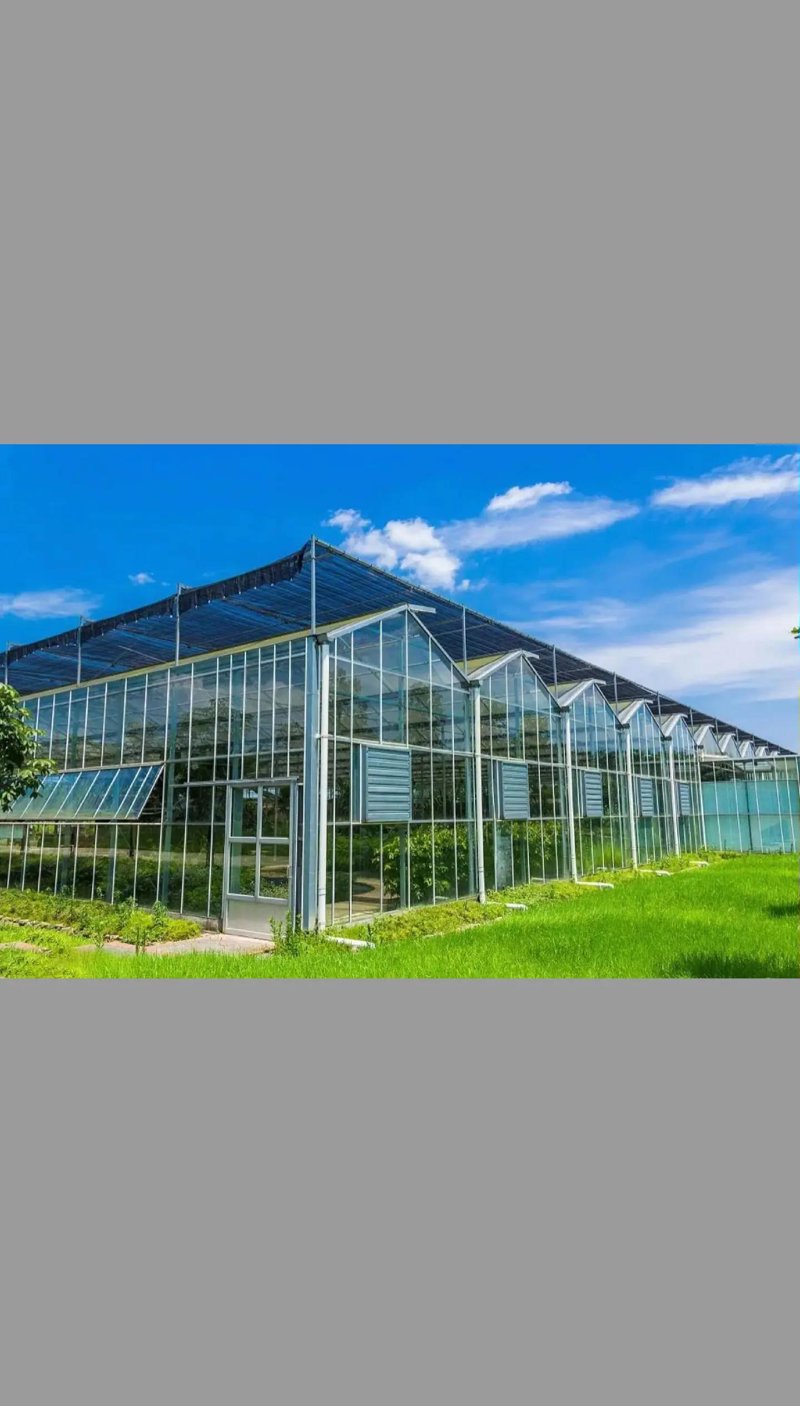 现代农业中的关键环节:大棚建设