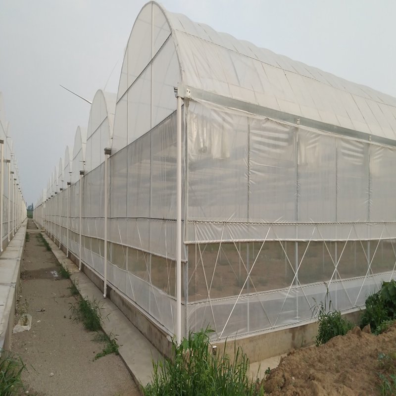 蔬菜种植基地:现代农业的新亮点