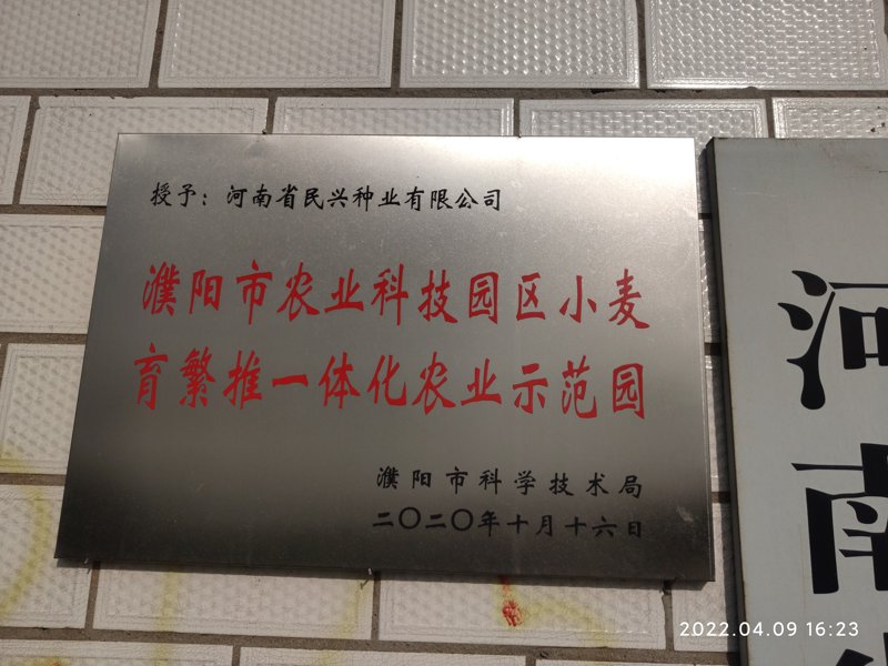 现代农业气象:大棚建设引领农业生产未来